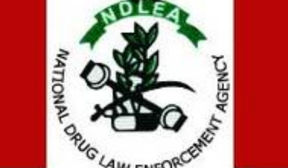My Logo: NDLEA Recruitment 2020