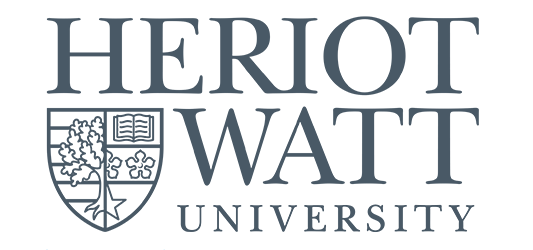 MSc International Management