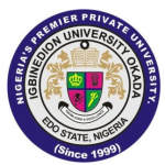 My Logo: Igbinedion University Post UTME Form