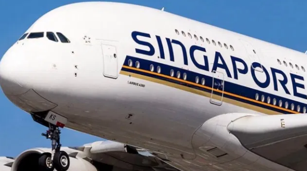 My Logo:Singapore Airlines Flight
