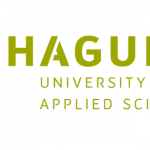 Hague University Talent Scholarship