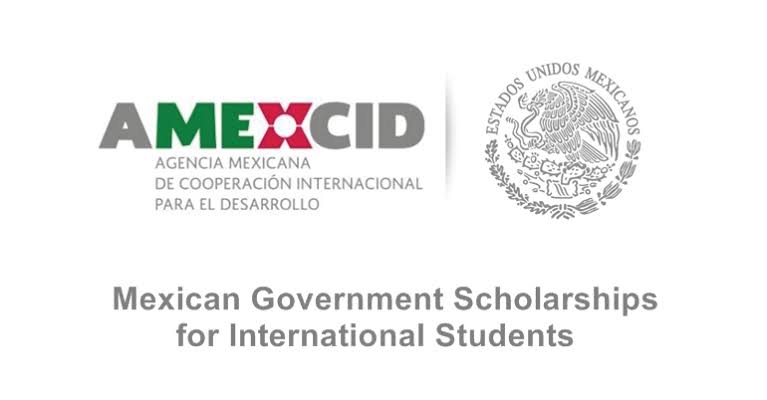 My Logo: Mexican Government Scholarship