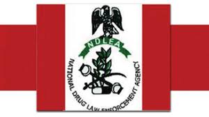 My Logo; NDLEA Shortlisted Candidates