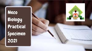 My Logo : NECO Biology Practical Specimen