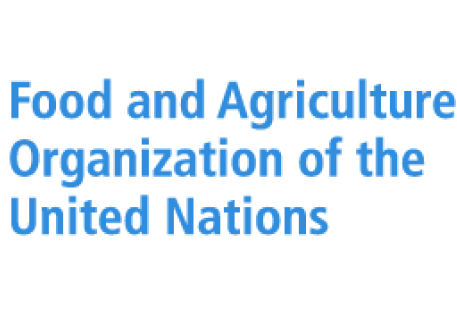 My Logo : FAO United Nations