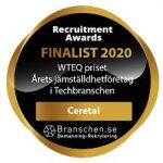 My Logo : Caret Recruitment Portal