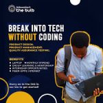 My Logo: Bulb Africa Fellowship Tech Program