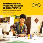 My Logo : MTN Foundation Y’ellopreneur Programme