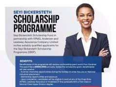 My Logo : Seyi Bickersteth Scholarship Programme