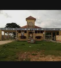 My Logo : DSUST Ozoro Post UTME Form