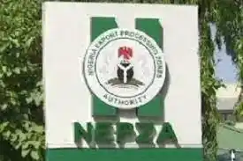 My Logo : NEPZA Recruitment Portal