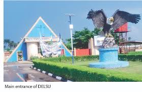 My Logo : DELSU Change of Course Form