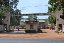 My Logo : ABU DAC Admission List