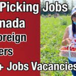 My Logo : Fruit Packaging Jobs in Canada