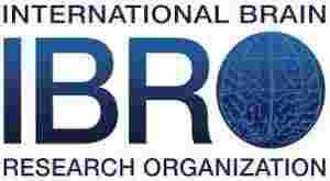 My Logo : IBRO World Congress Travel Grants
