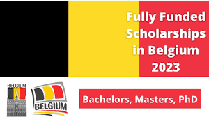 My Logo: Government of Flanders Mastermind Scholarships