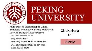 My Logo : Peking University Scholarship Program 2023 International Students
