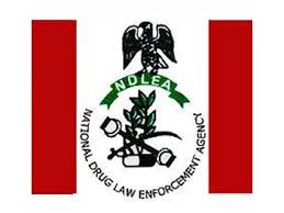 My Logo : NDLEA Shortlisted Candidate - Screening Date 2023