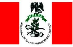 My Logo : ndlea-aptitude-online-screening-test-date