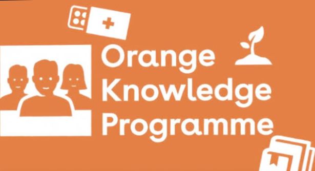 My Logo : Orange Knowledge & MENA Scholarship 2024 Programme