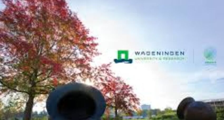 My Logo: Wageningen University Africa Scholarship Program 2023 Portal